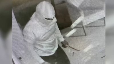 Ladrones intentan robar joyería en Tampa, pero algo les sale mal