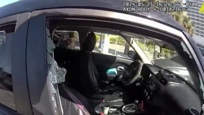 Mujer es detenida por dejar a su perro dentro de automóvil
