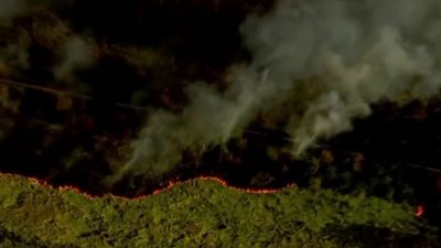 Reportan varios incendios forestales en la Bahía de Tampa