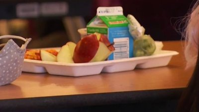 Mira los almuerzos y meriendas saludables que le puedes preparar a tu hijo para las clases