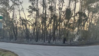 Incendio forestal sorprende en horas nocturnas en Sarasota