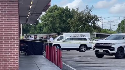 Investigan asesinato de hombre en Palm River en Tampa