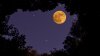 “Strawberry Moon”, la luna llena que marca el inicio del verano: ¿cuándo verla?