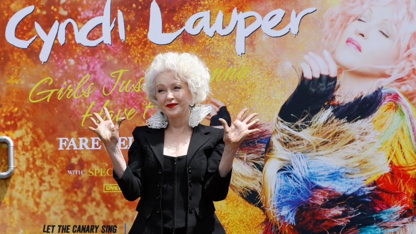 Cyndi Lauper honored at Handprint and Footprint Ceremony in Los Angeles