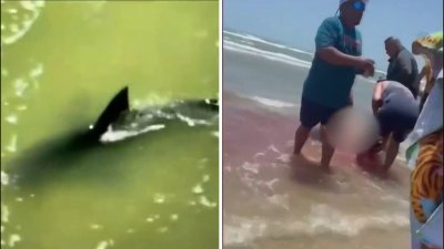 Atacadas por tiburón cuatro personas en Texas