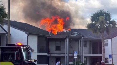 Doce apartamentos afectados por voraz incendio en Tampa