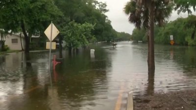 Inundaciones y marejada ciclónica por Debby en Sarasota ...