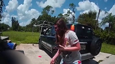 Mujer apuñala a su novio tras acalorada discusion en Fort Myers