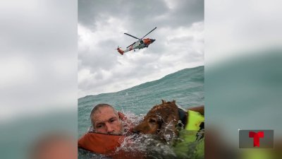 Hombre y su perro son rescatados en altamar en Pinellas