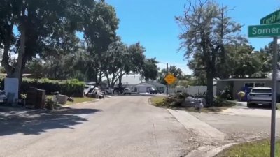 Investigan muerte de un hombre encontrado sin vida en Tampa