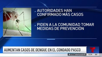 Aumentan casos de dengue en el condado Pasco