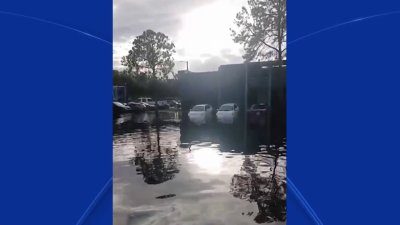 Comunidad al norte de Tampa lo pierde todo tras inundación