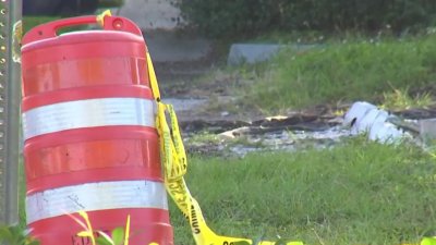 Investigan muerte de peatón arrollado en Tampa