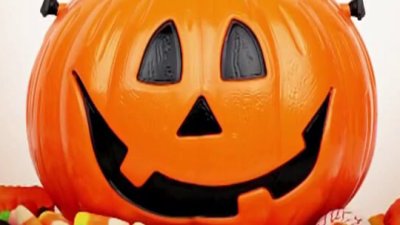 Celebra Halloween en familia en la Bahía de Tampa