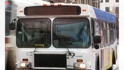 Transporte gratis hacia las urnas en la Bahía de Tampa