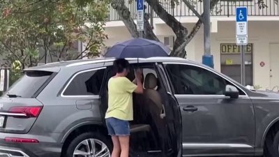 Bajo sol o lluvia, pero electores del Suroeste votaron