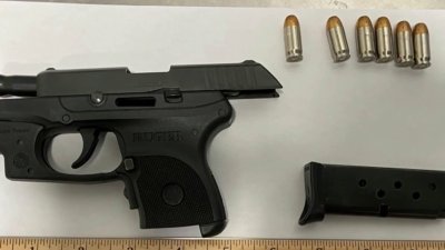 Decomisan 13 armas en el aeropuerto de Tampa