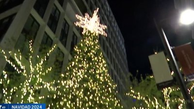 Comunidad disfruta inicio de la navidad en Channelside