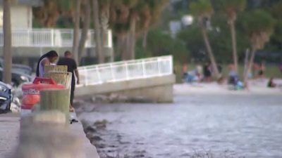 Hallan cuerpo masculino en el Courtney Campbell Causeway en Tampa