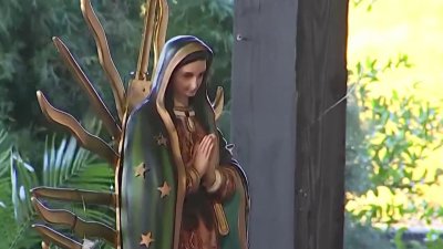 Mujer de Plant City agradece a la Virgen de Guadalupe por su hijo