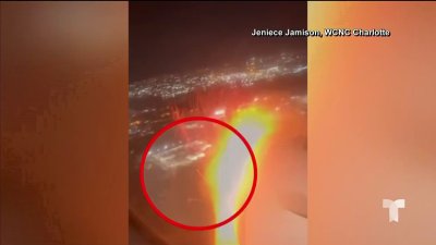 En video: ave golpea avión que salió de LaGuardia y causa emergencia