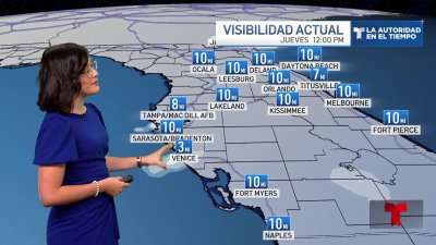 Neblina afecta gran parte de la región de la Bahía de Tampa