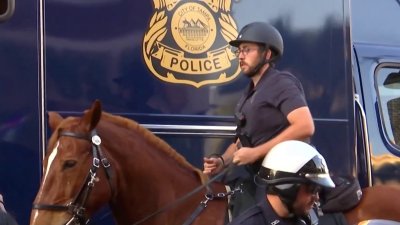 Policía de Tampa aumentará patrullajes para víspera de año nuevo