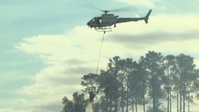 Bomberos practican ante inicio de temporada de incendio en Florida