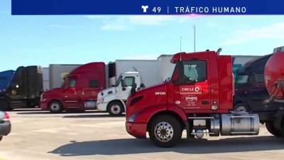 Camioneros, haran parte de estrategias e incentivos, para luchar contra el tráfico humano