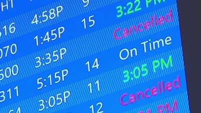 Retrasos y cancelaciones de vuelos en aeropuerto de Tampa por ola invernal