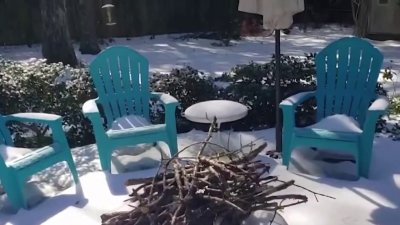 Cubierta por un manto blanco de nieve amaneció Tallahassee