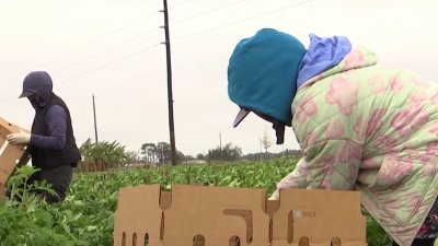 Peligro de sufrir hipotermia debido a las bajas temperaturas