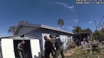 Detienen a hombre por robo de arma en Tampa