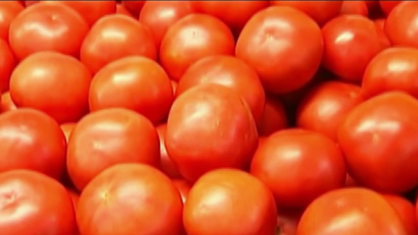 Tomates más caros: EEUU impondrá un arancel del 20.91% a tomates importados de México