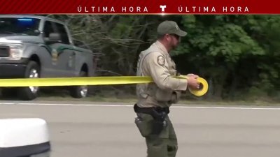 Si ves un oso negro no te acerques, mató un hombre y su perro en Collier, dicen autoridades