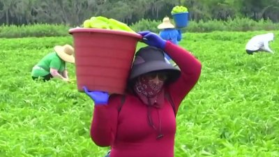 Madres inmigrantes de nuestra zona viven con el temor constante de las deportaciones