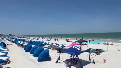 Playas de Pinellas ya no están contaminadas con “enterococcus”