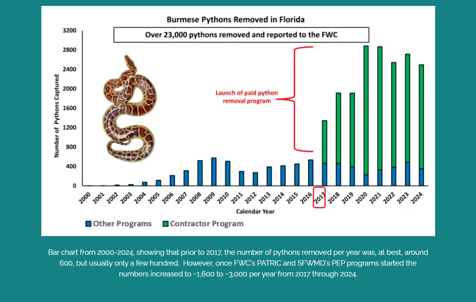 Ya te puedes registrar para el Florida Python Challenge 2026 ...