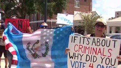 Manifestaciones “No Kings” en toda la bahía de Tampa