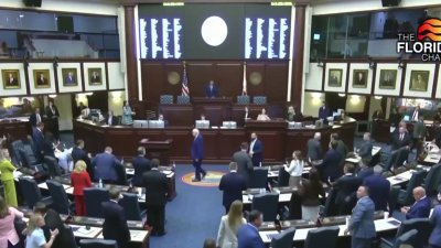 Residentes de Florida podrán beneficiarse de amplios recortes de impuestos