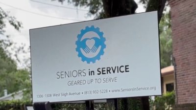 Adultos mayores detrás del voluntariado en la Bahía de Tampa