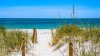 Vacaciones de terror: niña de 9 años sobrevive a ataque de tiburón en Florida