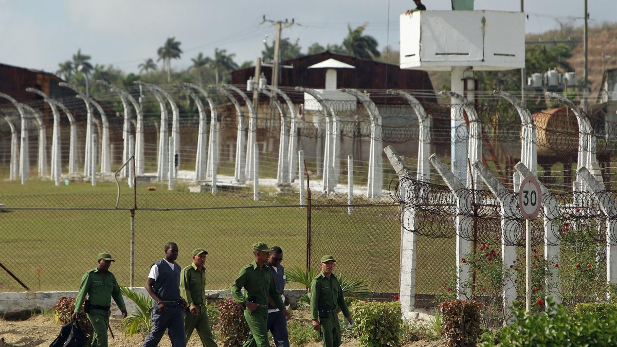 Persona Java Cuba Cuba anuncia la liberación de 51 personas privación de libertad ...