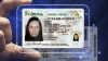 Florida estrena nueva licencia de conducir: te mostramos qué cambia