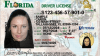 Florida estrena nuevo diseño de licencias de conducir: esto es lo que debes saber