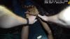 En video: arresto de hombre armado tras persecución en campus de la USF