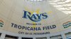 Rays de Tampa Bay avanzan a la Serie Mundial y enfrentarán a los Brewers de Milwaukee