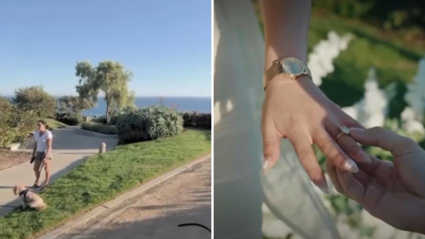 A woman angrily confronted the couple as they set up for their engagement celebration at a public park.